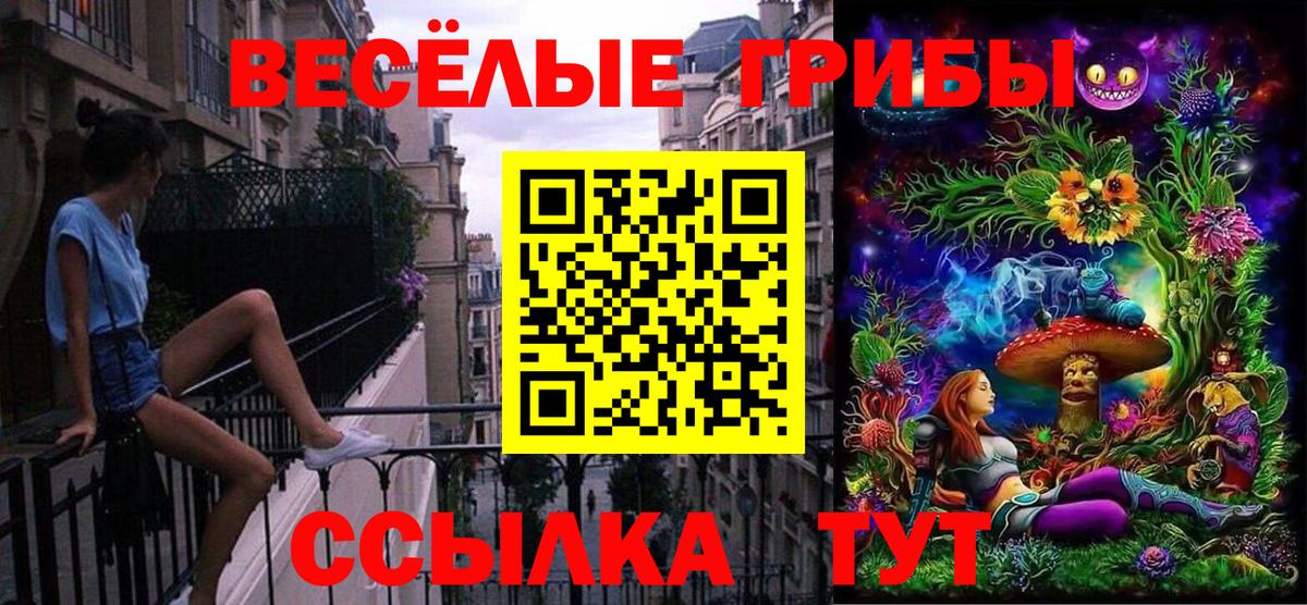 Галлюциногенные грибы Psilocybine cubensis Великие Луки