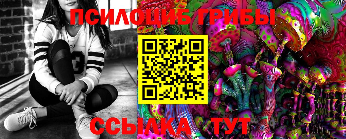 Псилоцибиновые грибы Psilocybe  Псилоцибиновые грибы MAGIC MUSHROOMS  Вход с VPN  Великие Луки 
